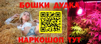 гидропоника Краснознаменск