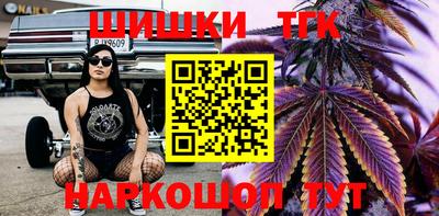 гидропоника Краснознаменск