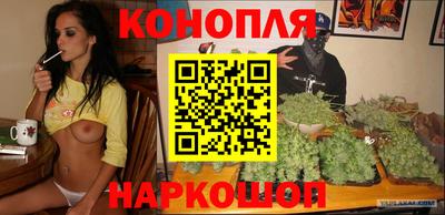 гидропоника Краснознаменск