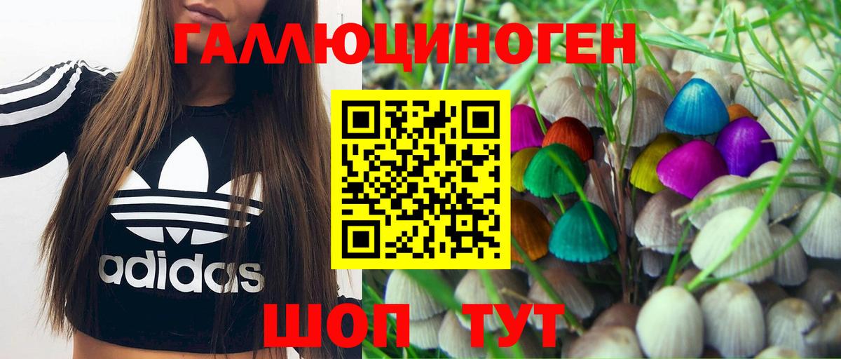 Новокузнецк  Галлюциногенные грибы Cubensis  Галлюциногенные грибы прущие грибы  Вход с VPN 