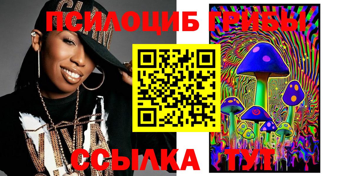 Псилоцибиновые грибы Psilocybine cubensis Новокузнецк