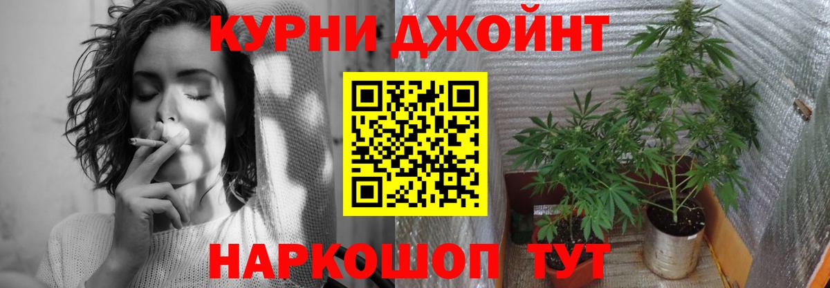 Каннабис OG Kush Новокузнецк